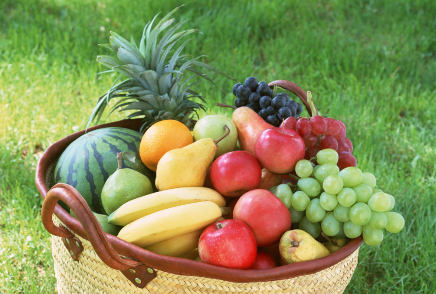 Standard and methods for fruit inspection and factory inspection services