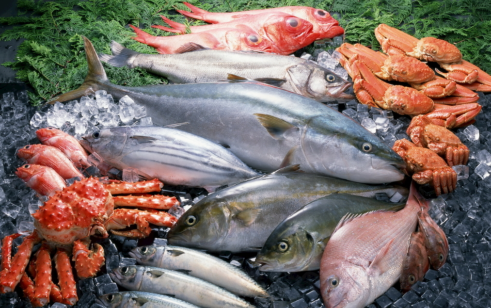 How to inspect aquatic products and seafood? Inspection, factory inspection, and certification services 速航船务