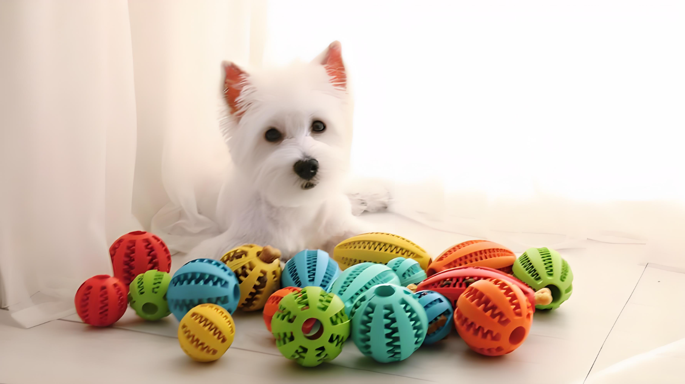 宠物产品质量控制 - 速航船务