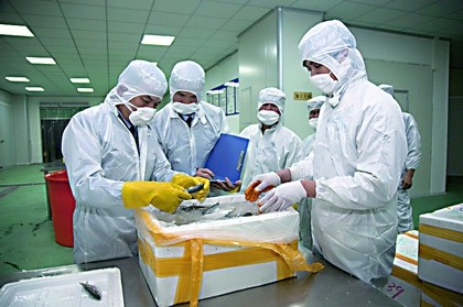 A Comprehensive Guide to the Entire Process of Export Inspection, Certification and Goods Inspection and Factory Audit