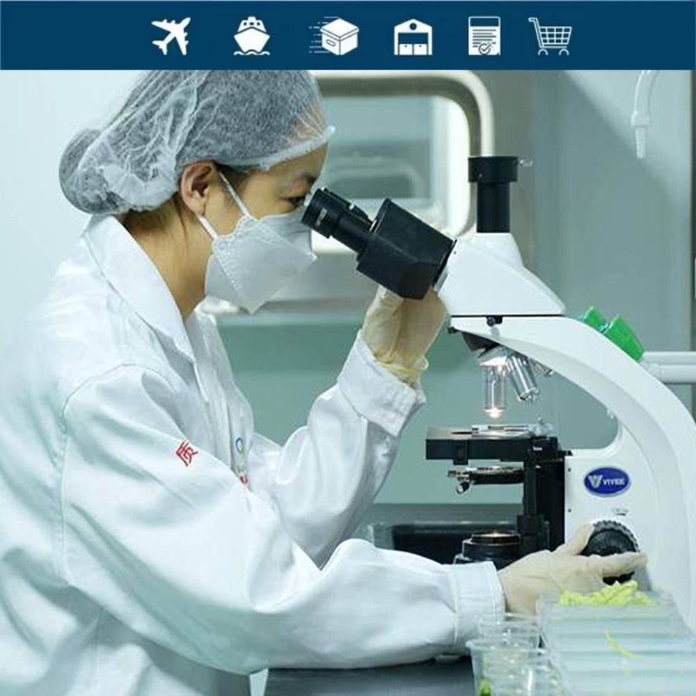 中国河南商丘第三方玻璃检验和质量控制服务,英文报告侧重于中国的检验 - 速航船务