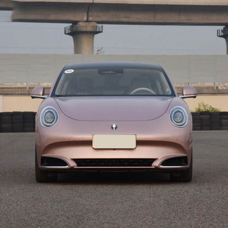 中国湖北咸宁二手汽车欧拉品牌第三方质量检验服务 - 速航船务