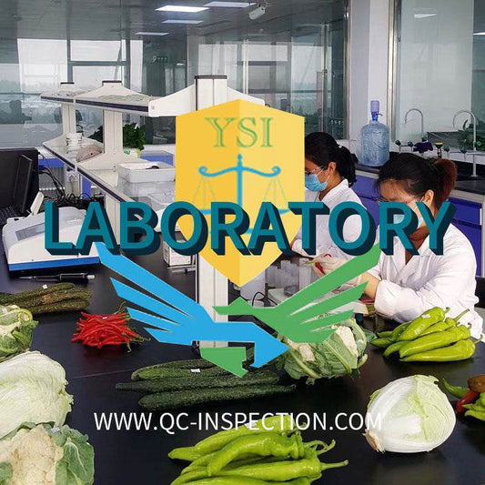 中国辽宁鞍山第三方实验室气味定性检测服务,用于货物发运前的物理检测 - 速航船务
