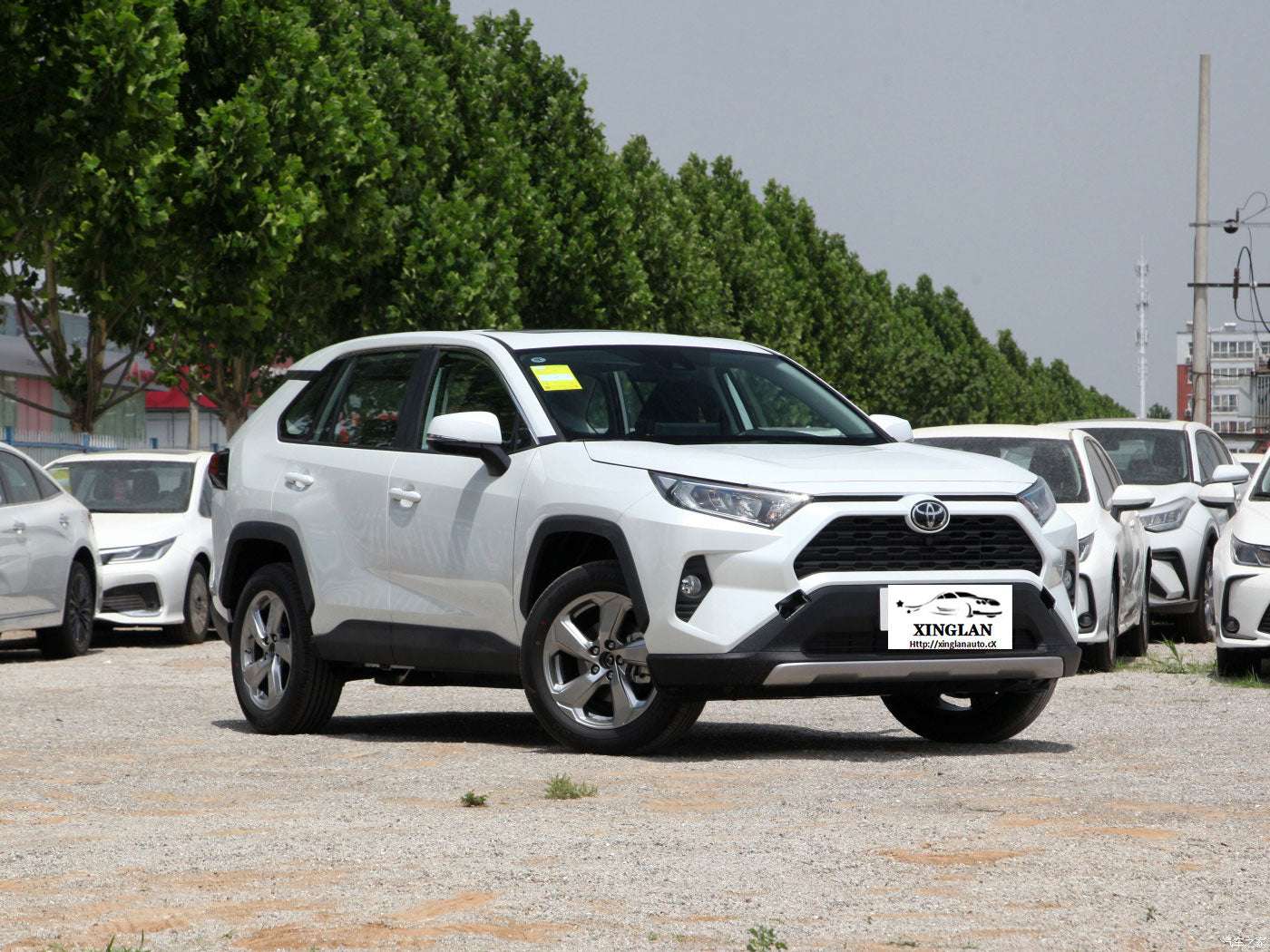 For the Toyota Rav 4 SUV in Japan for adults, featuring left-side power fabric seats and rear camera