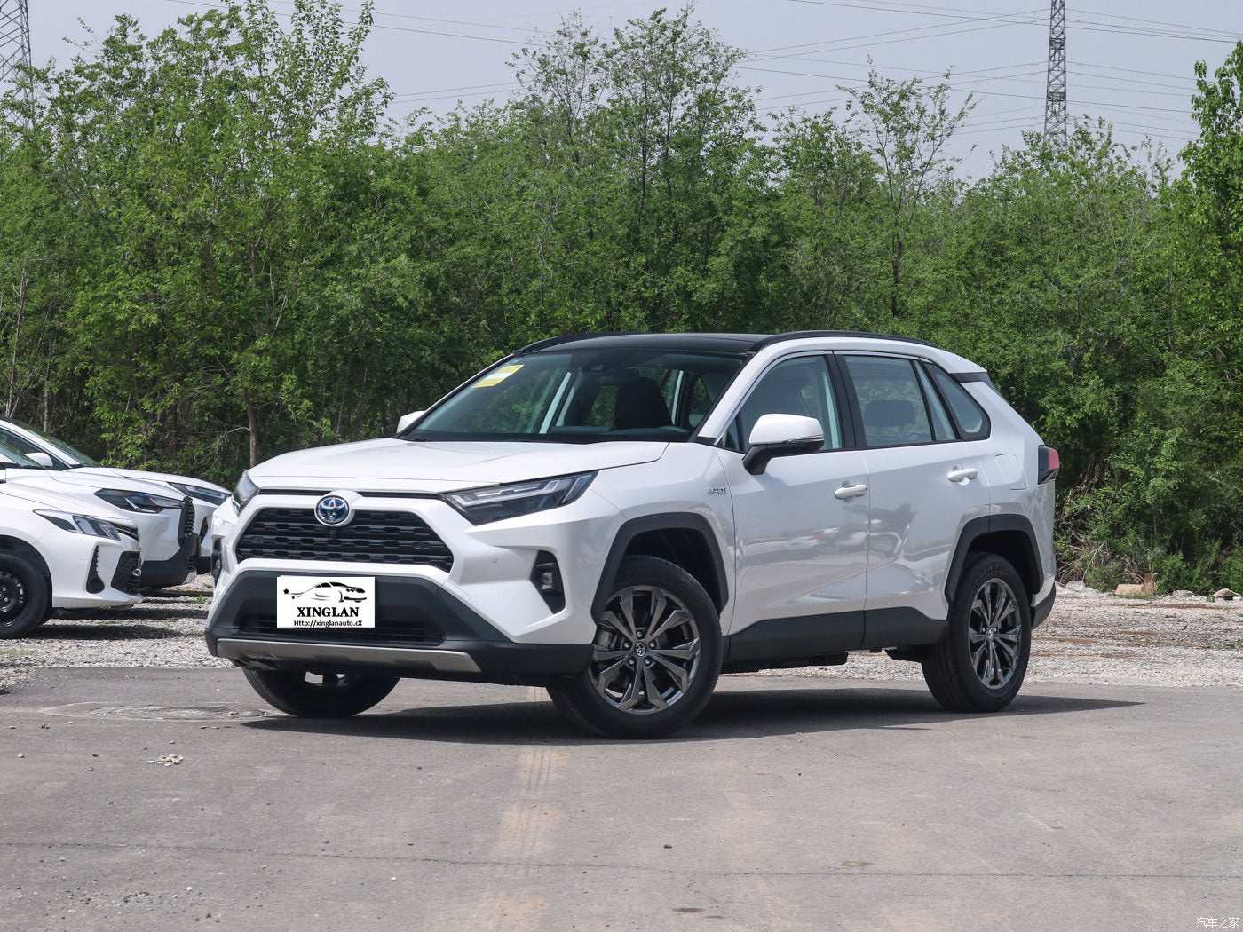 For the Toyota Rav 4 SUV in Japan for adults, featuring left-side power fabric seats and rear camera