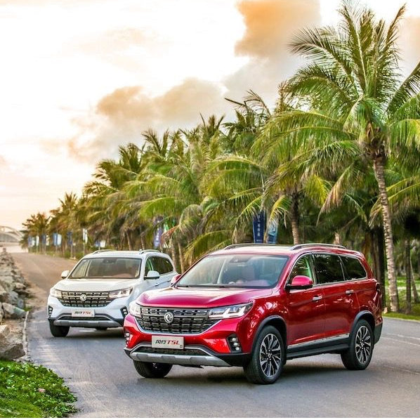Dongfeng Electric Vehicle 4x4 Diesel Ford Windxing Strong Off-road Capability 4WD Pickup Truck Inspection and Factory Audit Services