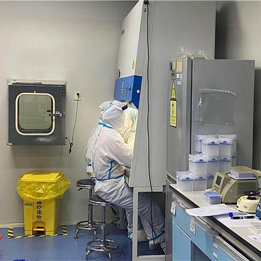 中国河南信阳虾仁第三方质量检验服务 - 速航船务