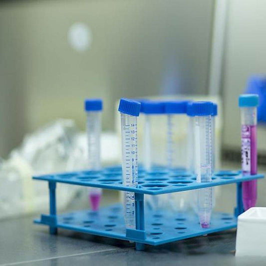 中国河南信阳虾仁第三方质量检验服务 - 速航船务