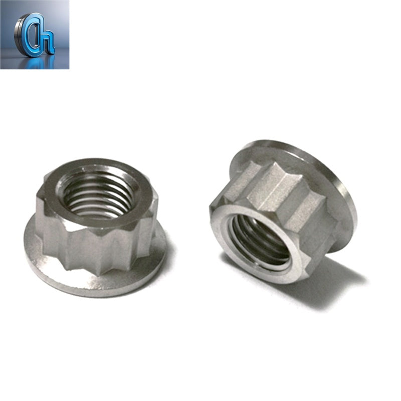 Fasteners Supplier Stainless Steel M6 M8 M10 Hexagon Flange Bolt and Nut of Ss 304/316