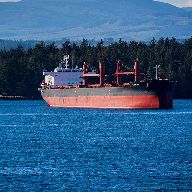 专业汽车运输，定制化车辆、海运物流解决方案，跨境货运代理 - 速航船务