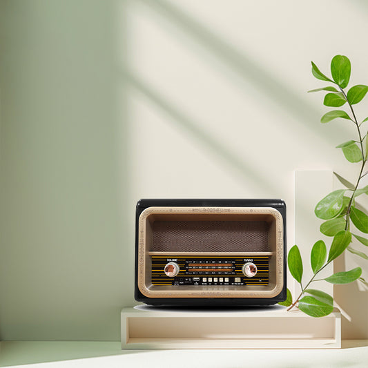 Classic Large Portable Retro Home AM/FM/Software Multi-Band Digital Portable Radio